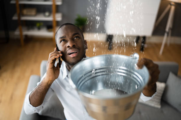 Best Mold removal after water damage  in Sulphur Springs, AR