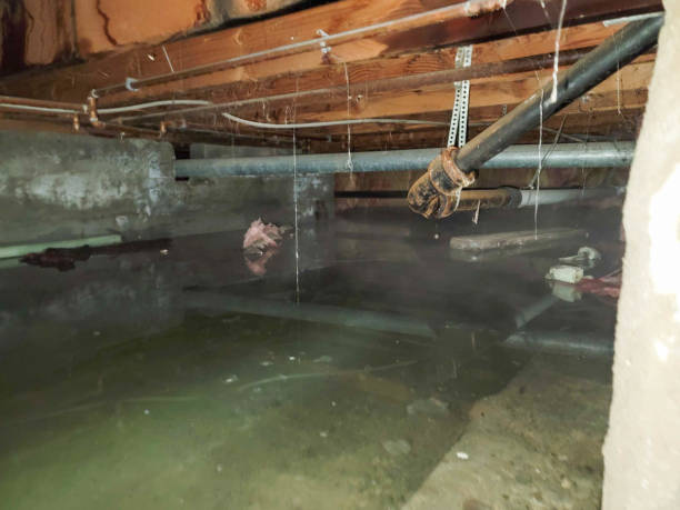 Best 24-hour water damage restoration  in Sulphur Springs, AR