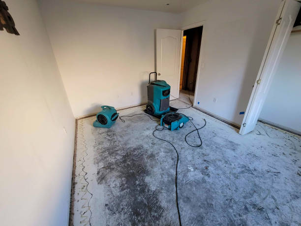Best Professional water damage repair  in Sulphur Springs, AR