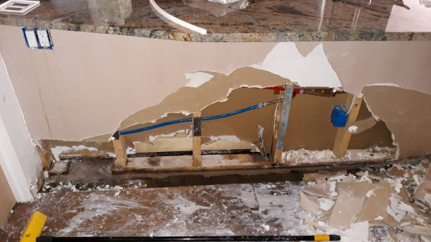 Best Carpet water damage restoration  in Sulphur Springs, AR