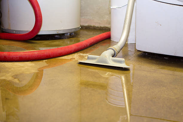 Best Water damage cleanup near me  in Sulphur Springs, AR