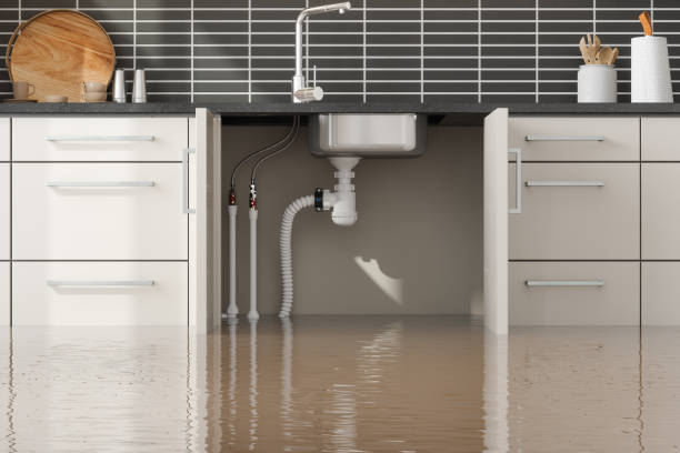 Best Fire Damage Restoration  in Sulphur Springs, AR